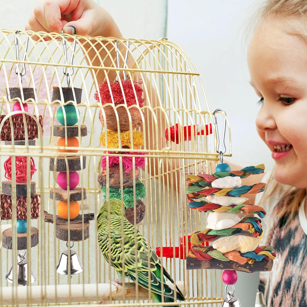 Bissap seven pack bird entertainment set showing variety of natural textures