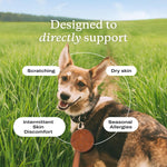 Close up of the pork flavored soft chews from PetLab Co for dog seasonal allergy support.