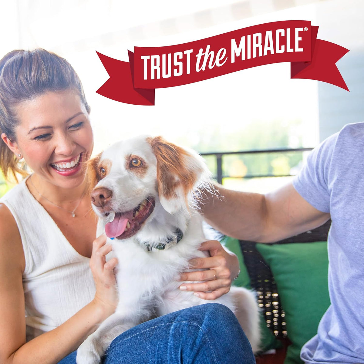 Nature's Miracle Stain and Odor Remover Dog, 32 Ounces, Everyday Mess Enzymatic Odor Control Formula - Image 10