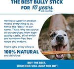 Best Bully Sticks authentic USA imported natural pet chew sticks texture detail