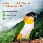Harrison's Bird Foods High Potency Fine - Certified Organic, Non GMO Formula for Small to Medium Birds - Human Grade Pellets for Molting, Recovering & Weaning Chicks with Balanced Nutrition (1lb) - Image 4
