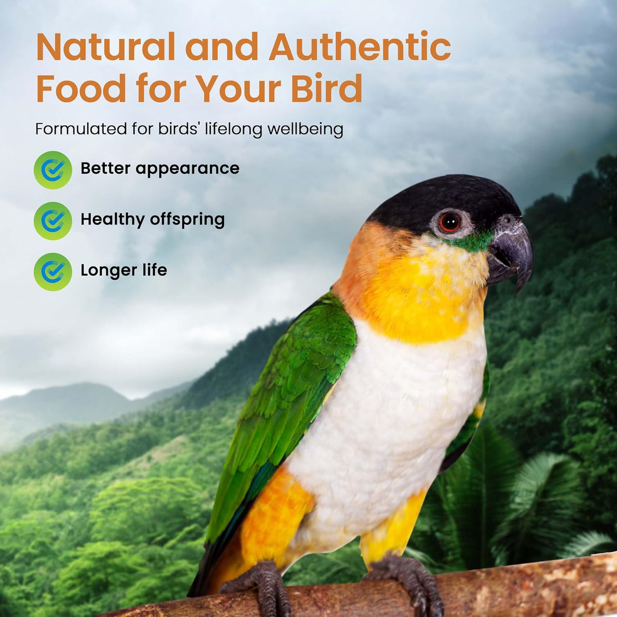 Harrison's Bird Foods High Potency Fine - Certified Organic, Non GMO Formula for Small to Medium Birds - Human Grade Pellets for Molting, Recovering & Weaning Chicks with Balanced Nutrition (1lb) - Image 4