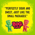 Sour Patch Kids, Big Kids Soft and Chewy Gummy Candy, Share Size, 12 Ounce - Image 9