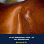 Farnam Wound-Kote antiseptic spray for horses and dogs