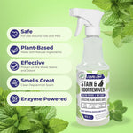 Mighty Mint natural peppermint scent cleaner