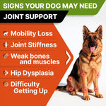 Premium bacon flavor senior dog mobility soft chews 120 count packaging
