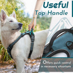 Eagloo dog harness soft padded breathable inner mesh lining
