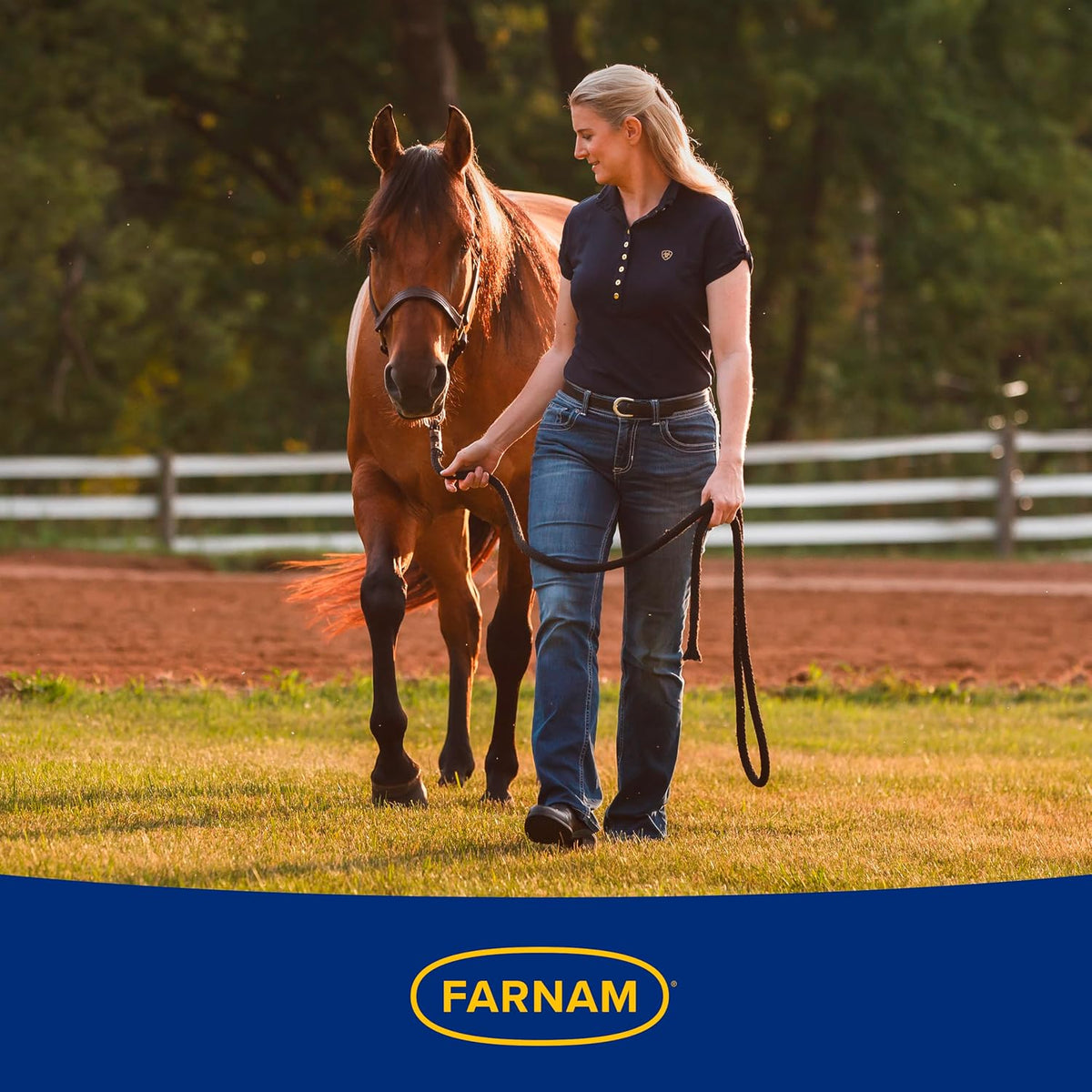 Farnam Nature's Defense Concentrate, Water-Based Botanical Fly Repellent Spray for Horses, Ideal for Sensitive Skin, 32 oz - Image 14