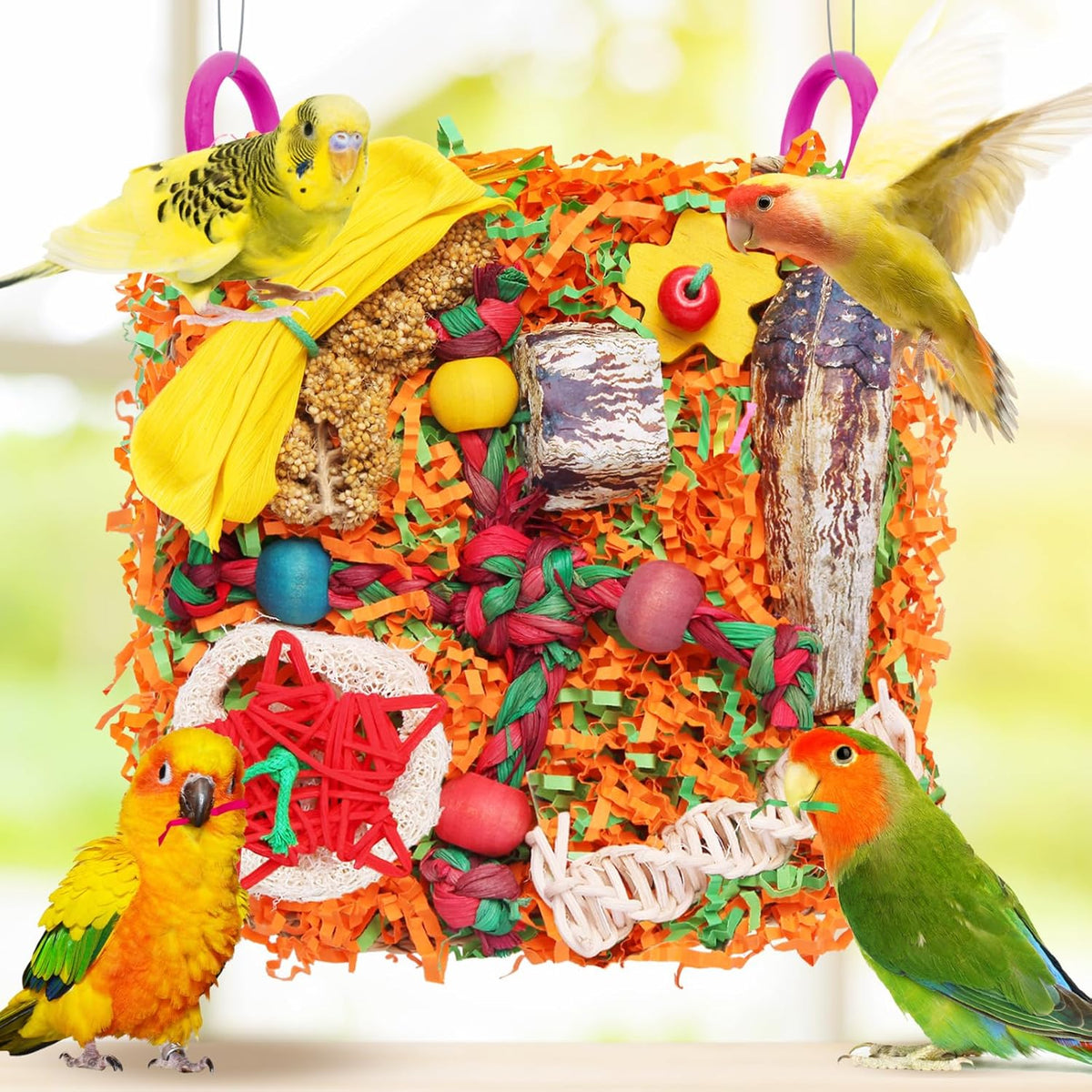 Pre assembled bird foraging wall with plastic hanging hooks installed