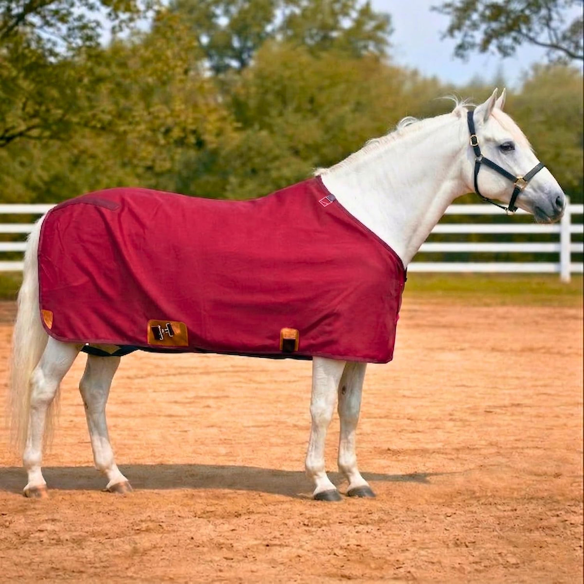 Nylon Horse 420D Stable Sheet | Breathable & Durable Horse Sheet | Keeps Coat Clean, Smooth & Shiny | Adjustable Fit Summer Sheet (60"- 86" Sizes) - Image 11