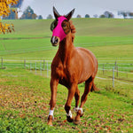 Close up view of 3D cut mesh eye protection on Weewooday fly mask