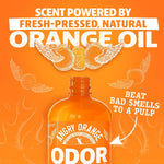 Diluting the concentrated pet stain remover with water to make one gallon of cleaning solution.