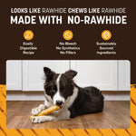 Earth Animal No-Hide dental health dog chews 3 pack