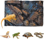 Tfwadmx rock terrarium background front view showing realistic blue-brown stone texture.