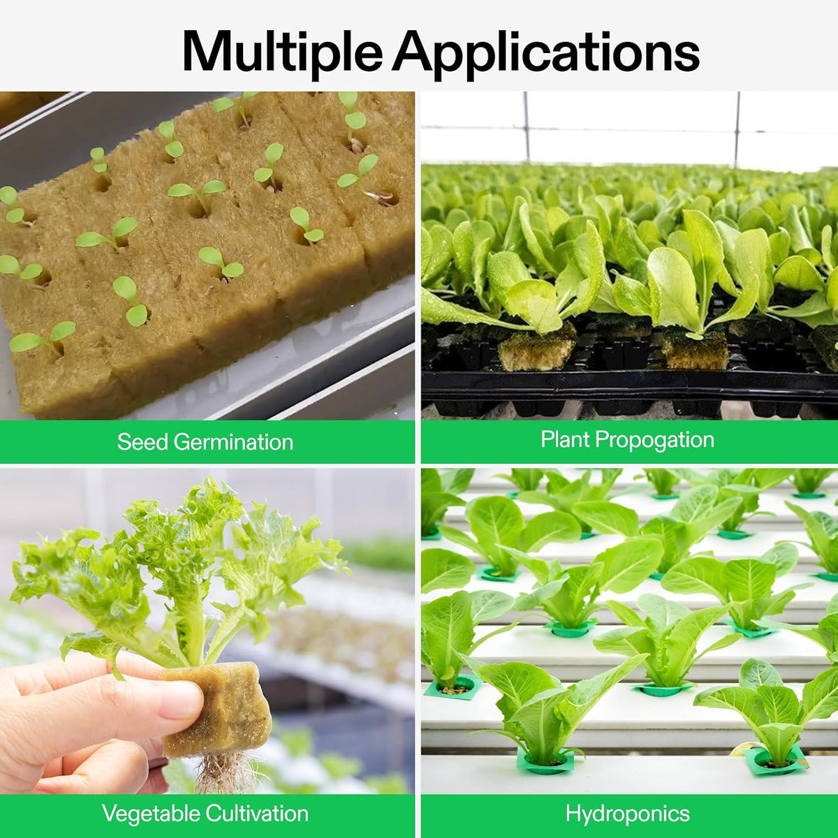 Rockwool cubes arranged for seed starting and cloning