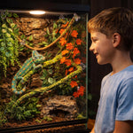 Suction cup attachment mechanism for terrarium plants