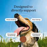 PetLab Co. seasonal allergy and immune support pork flavor chews for dogs
