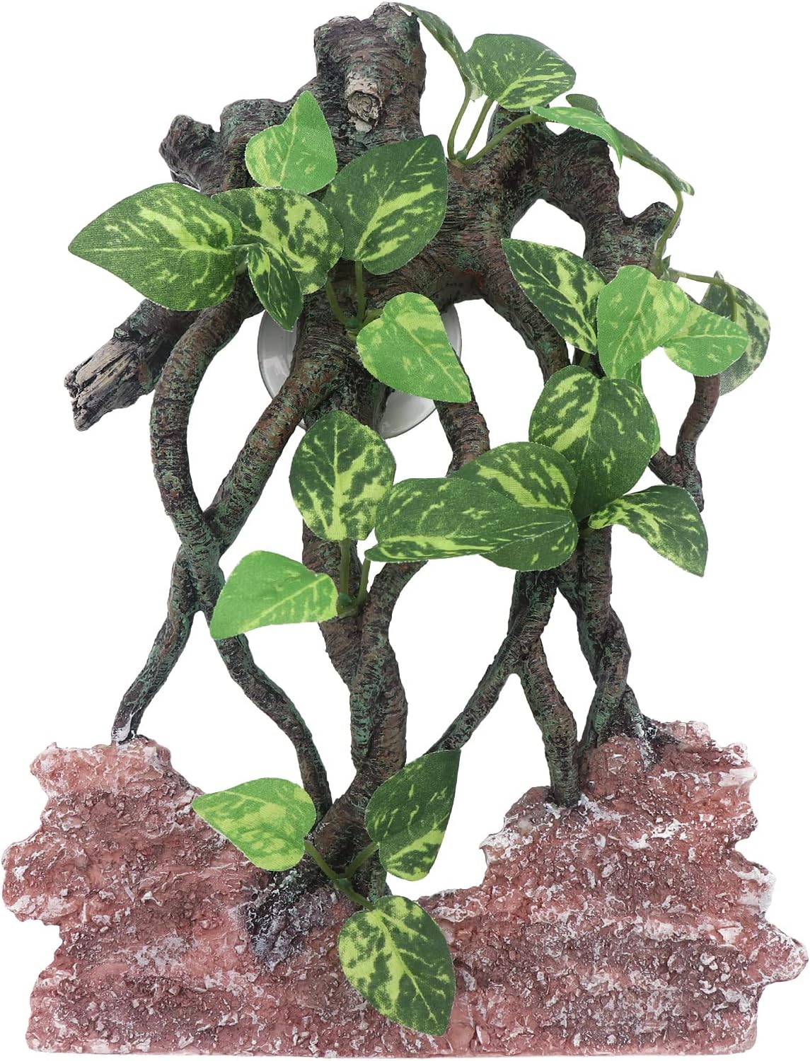 AQUA KT Reptile Terrarium Climb Tree Branch Rock Background front view in a clean glass tank.