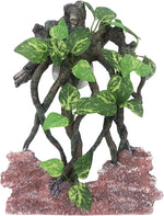 AQUA KT Reptile Terrarium Climb Tree Branch Rock Background front view in a clean glass tank.