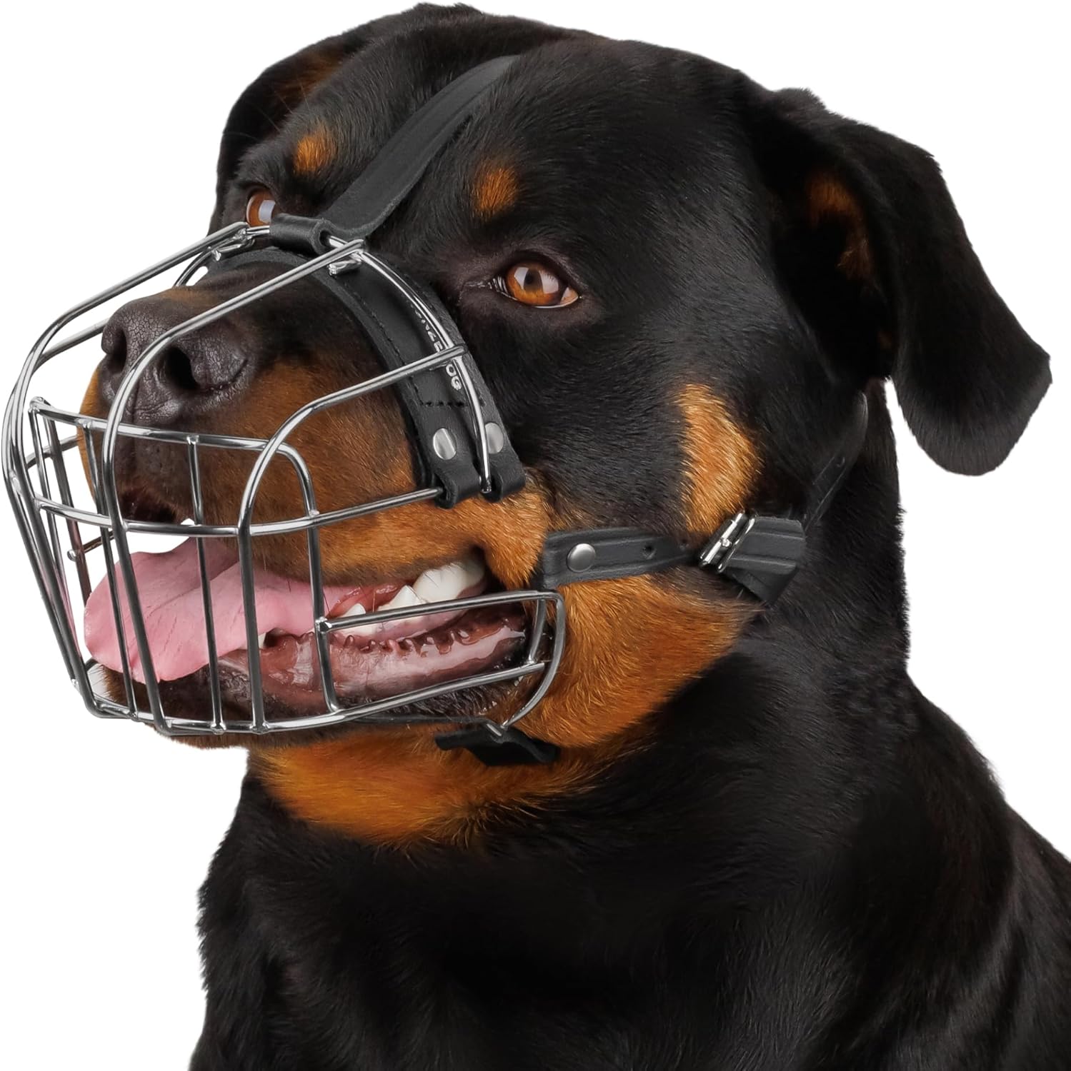 BRONZEDOG wire basket dog muzzle front view showing stainless steel cage structure