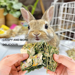 Natural high fiber rodent snacks preventing cage boredom and promoting digestion
