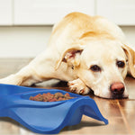Van Ness large pet dish lifestyle setup