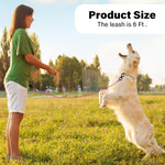 Premium chew resistant steel wire rope lead for large dogs outdoor walking
