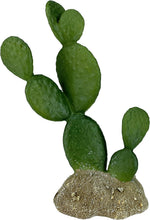 Multipet Komodo 6.3 inch cactus inside reptile enclosure