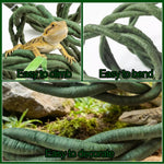 Close up of Gxsdj reptile vine texture and green leaves