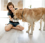 Spot large capacity dog bowl polished surface interior detail
