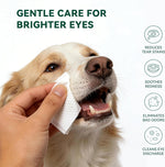 Hypoallergenic unscented pet face cleaning wipes texture detail