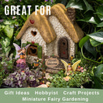 PRETMANNS outdoor patio fairy garden landscape setup
