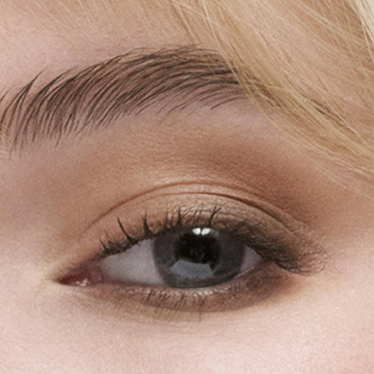 Estée Lauder luxury eyeshadow quad palette open showing four pigmented shades and dual-ended brush