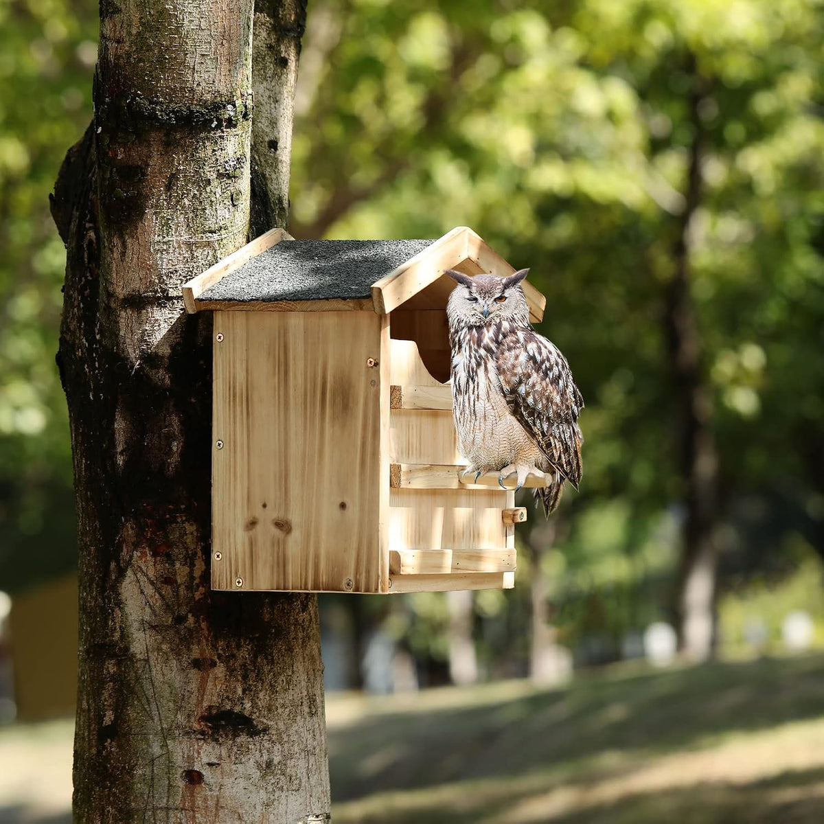 Backyard wildlife shelter mounted on tree with perching stand
