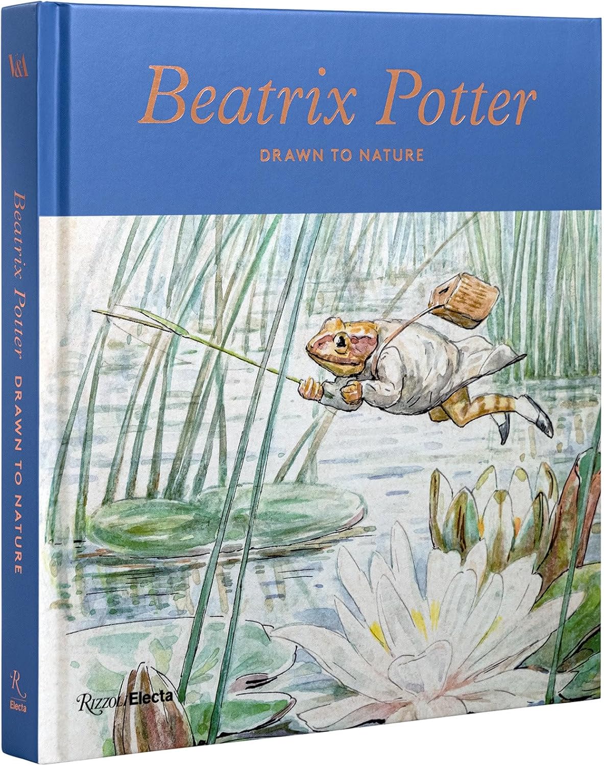 Beatrix Potter: Drawn to Nature - Image 1