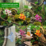 Suction cup detail for reptile habitat accessories