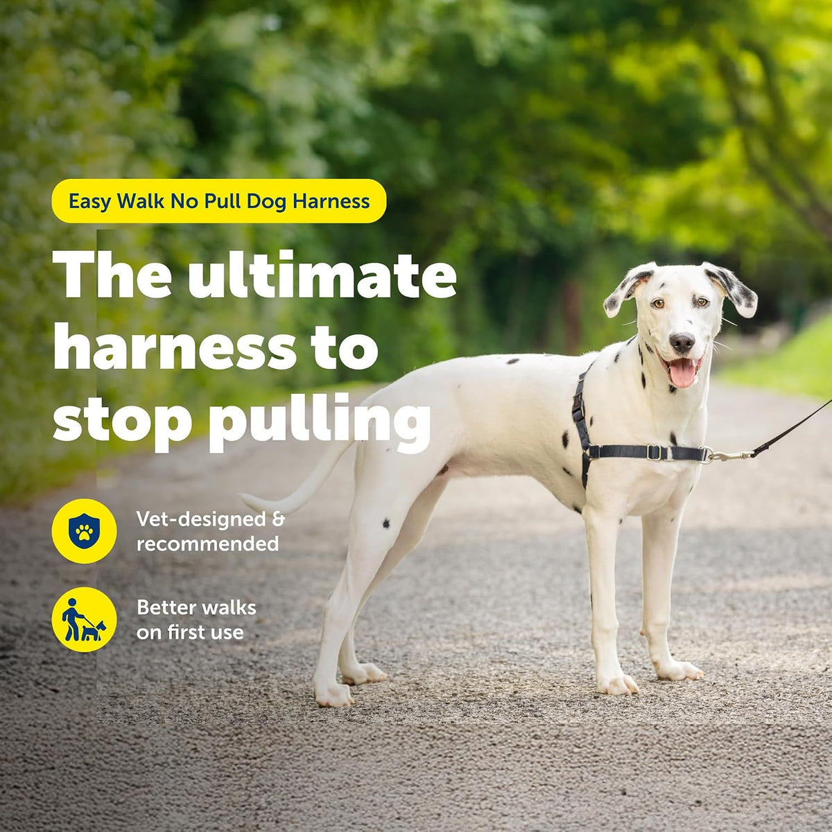 PetSafe charcoal gray dog harness side profile