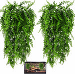 Hercocci reptile plants hanging in a glass terrarium front view
