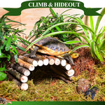 Full view of Hercocci tank accessories arranged in a habitat