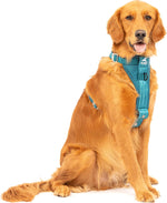 Kurgo Enhanced Strength Tru-Fit Dog Car Harness - Pet Travel Safety Harness - Crash Test Certified Fit - Five Point Adjustment - Secure Buckle - Padded Chest - Black - Medium - Image 15