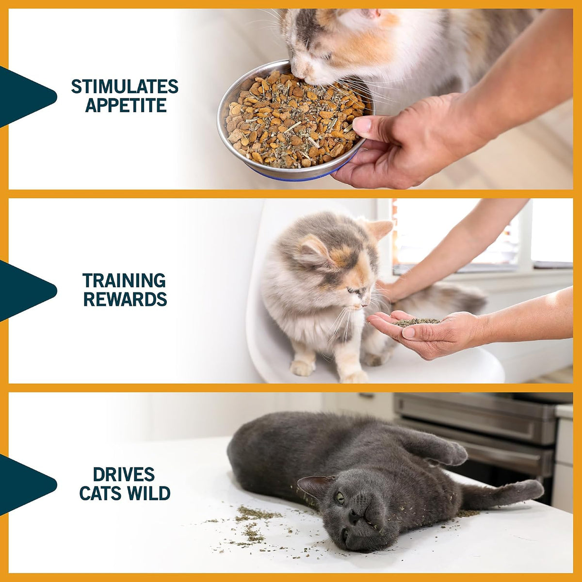 Two point two five ounce jar of OurPets high potency catnip