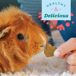Oven baked healthy treats for rabbits chinchillas and guinea pigs