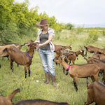 Gindoor weather resistant grazing animal collar with loud bronze bell for pasture tracking