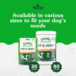 Greenies Supplements Hip and Joint Supplements for Dogs, with Chondroitin & Glucosamine for Dogs, Chicken Flavor, 6.08 oz. Pouch, 30 Count - Image 14
