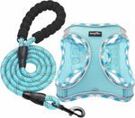 Haapaw adjustable step-in dog vest layout view with included lead