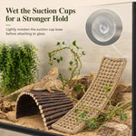 Detailed view of non-toxic climbing vines and leaves