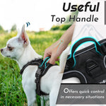 Eagloo dog harness reflective strips illuminated in low light