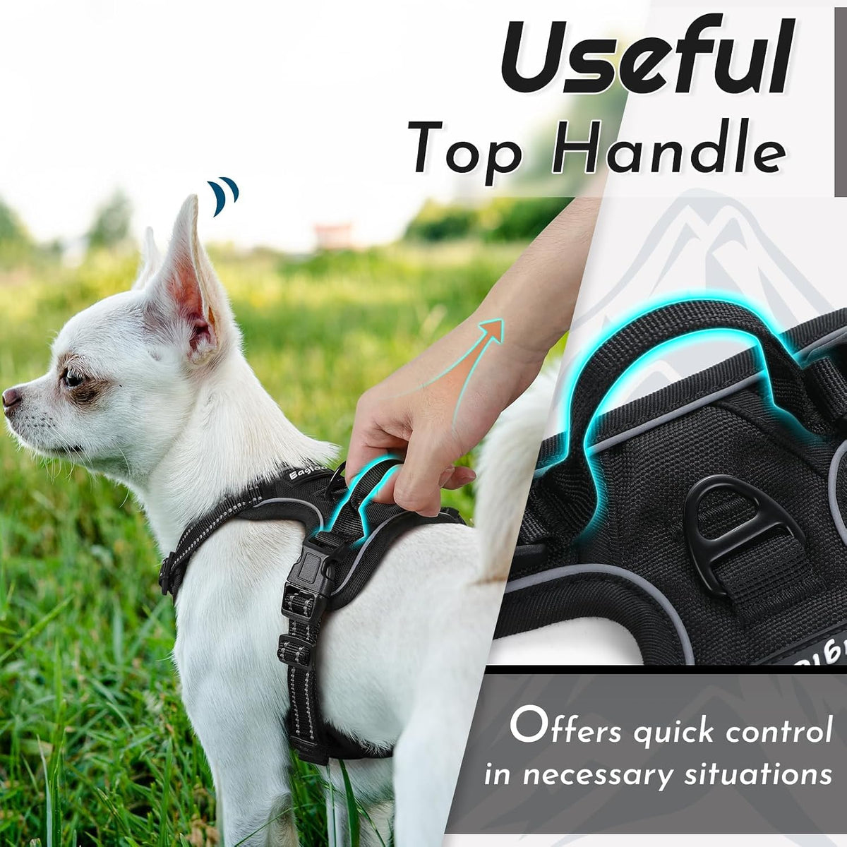 Eagloo dog harness reflective strips illuminated in low light