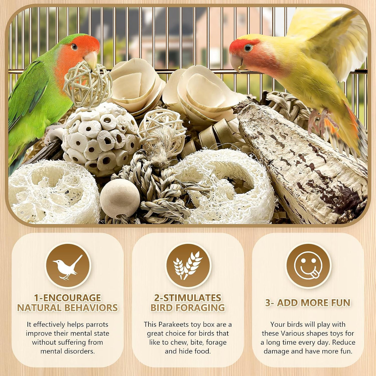 Refillable rattan balls inside a complete bird foraging treasure chest setup.