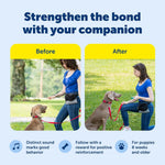 PetSafe positive reinforcement clicker tool for training puppies and adult dogs